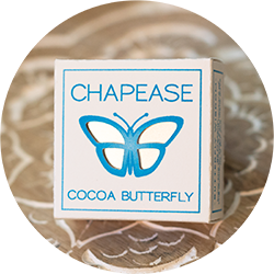 Cocoa Butterfly